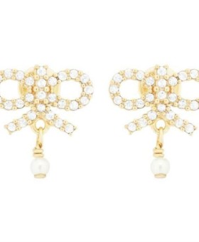디올 Le Nœud de Dior 귀걸이 E4050