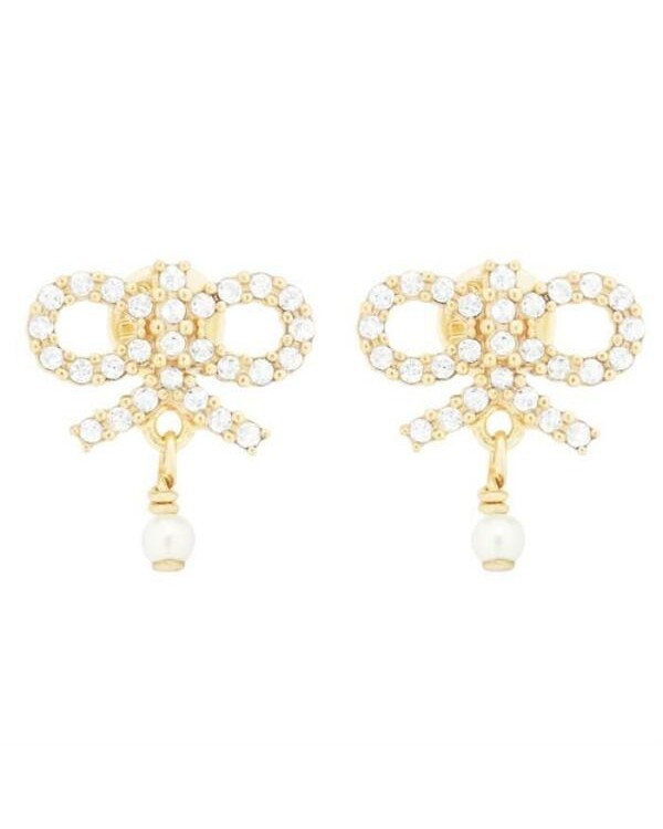 디올 Le Nœud de Dior 귀걸이 E4050